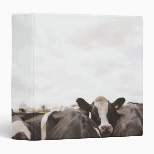 Herd of cattle and overcast sky 2 3 ring binder