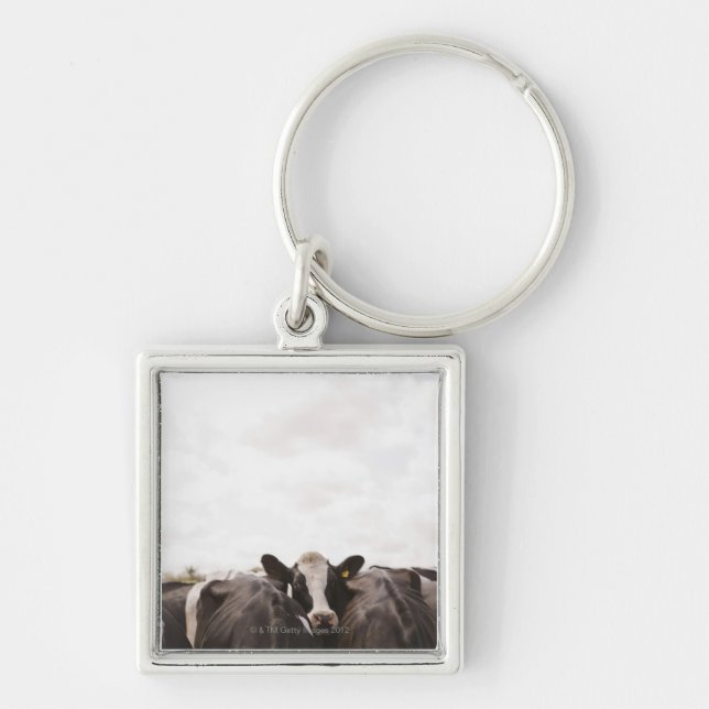 Herd of cattle and overcast sky 2 keychain (Front)