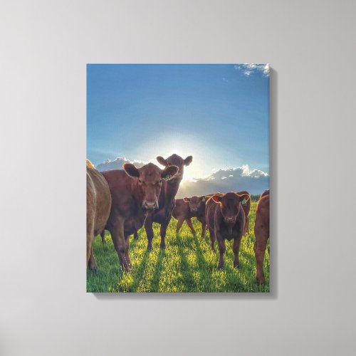 Herd of Cows With Attitude Canvas Print