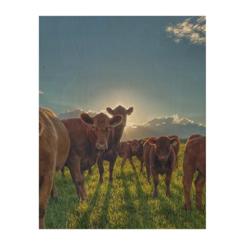 Herd of Cows With Attitude Wood Wall Art