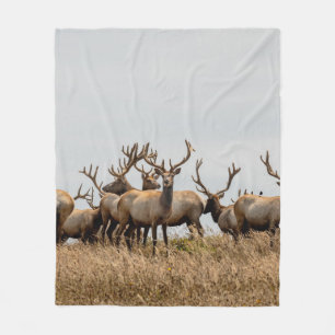 HERD OF DEER FLEECE BLANKET