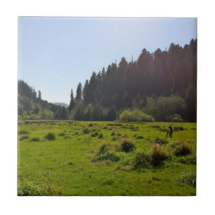 Herd of Deer in a Big Beautiful Forest Clearing Tile