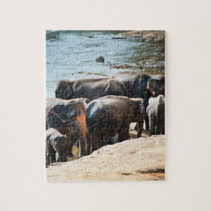 Herd of Elephants with Baby in Water Jigsaw Puzzle