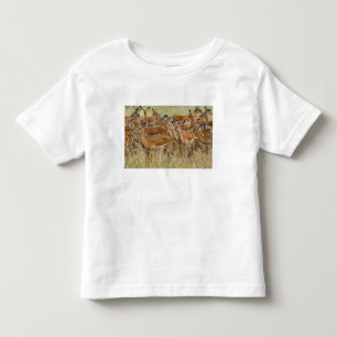 Herd of female Impala, Masai Mara, Kenya. Toddler T-shirt