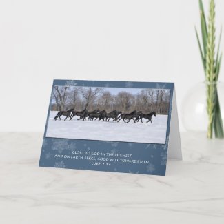 Herd of Friesian Mares Christmas Card