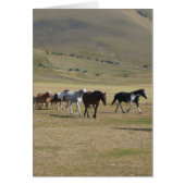 Herd of Horses (Front)