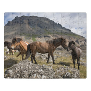 Herd Of Horses, Near Hofn, Iceland Jigsaw Puzzle