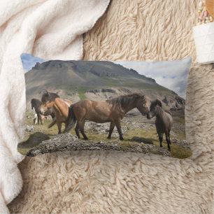 Herd Of Horses, Near Hofn, Iceland Lumbar Pillow