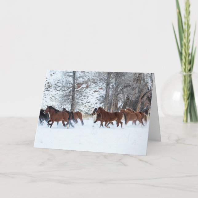 Herd of Horses Running in Snow Card (Front)