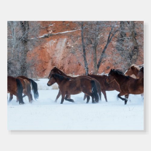 Herd of Horses Running in Snow Foam Board
