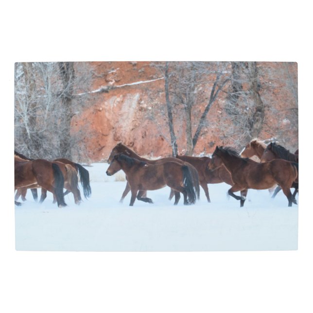 Herd of Horses Running in Snow Metal Print (Front)