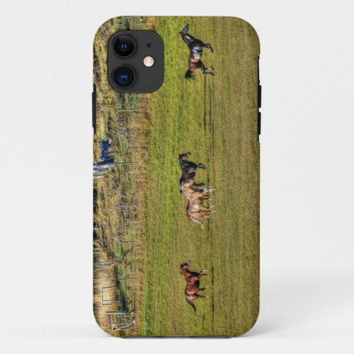 Herd of Horses Running on a BC Ranch iPhone 11 Case