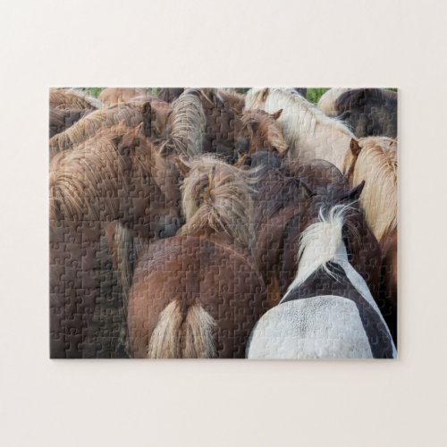 Herd of Icelandic horse Jigsaw Puzzle