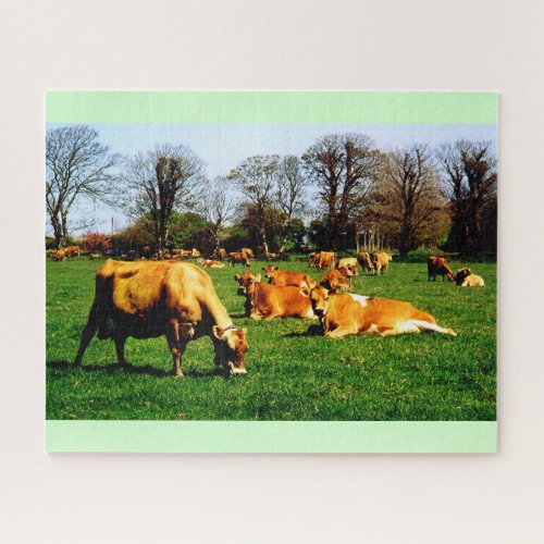 Herd of Jersey cows Jigsaw Puzzle