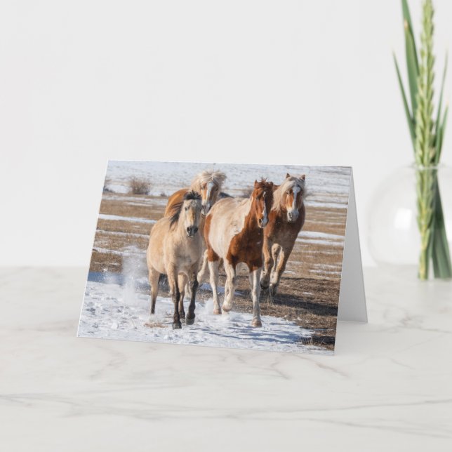 Herd of Mixed Breed Horses Running in the Snow Card (Front)