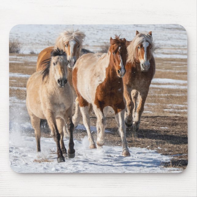 Herd of Mixed Breed Horses Running in the Snow Mouse Pad (Front)