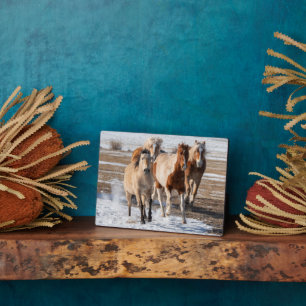 Herd of Mixed Breed Horses Running in the Snow Plaque