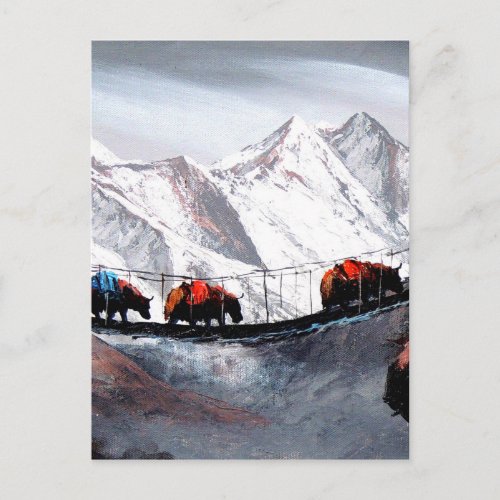 Herd Of Mountain Yaks Himalaya Postcard