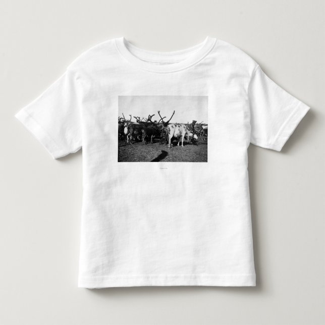 Herd of Reindeer in Alaska Photograph Toddler T-shirt (Front)