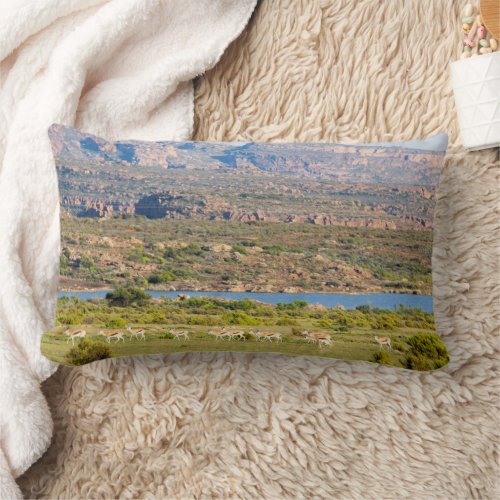 Herd of Springbok  Western Cape South Africa Lumbar Pillow