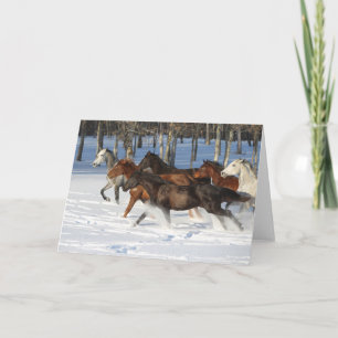 Herd Of Trakehner Horses Running In Snow Card