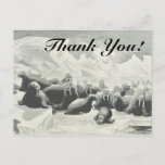 [ Thumbnail: Herd of Walruses "Thank You!" Postcard ]
