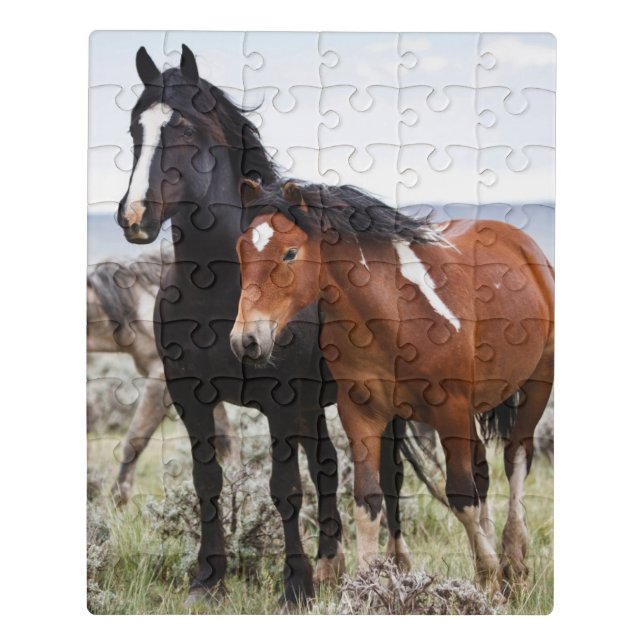 Herd of Wild Horses Jigsaw Puzzle (Puzzle Vertical)