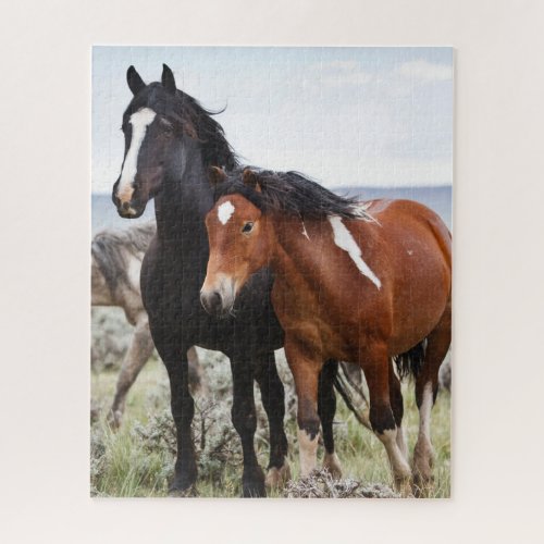 Herd of Wild Horses Jigsaw Puzzle