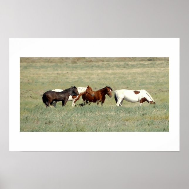 Herd of wild horses poster (Front)