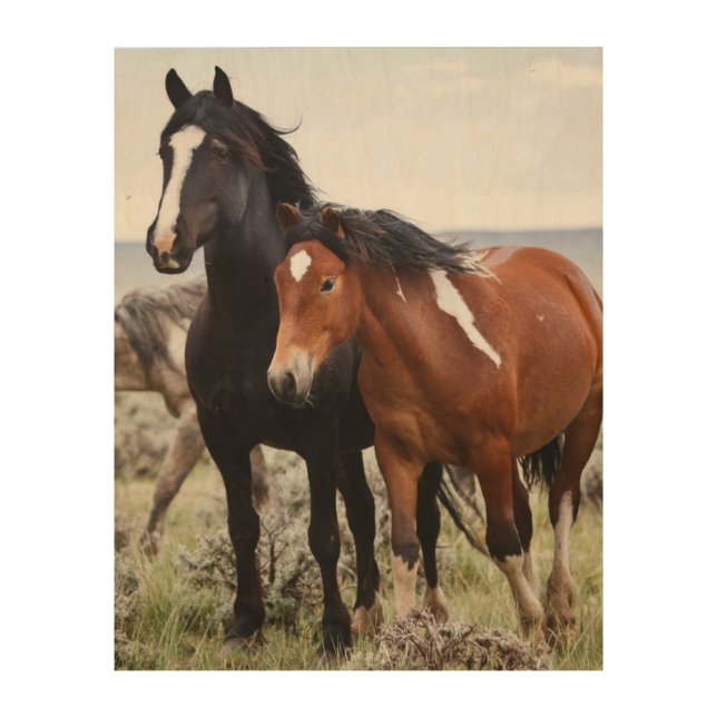 Herd of Wild Horses Wood Wall Art (Front)