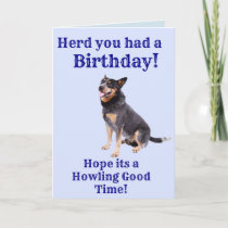 Herd you had a Birthday Card