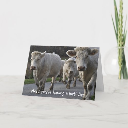Herd youre having a birthday card