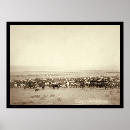 Herding Cattle at Moss Agate SD 1887 Poster