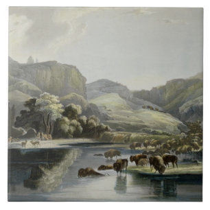 Herds of Bison and Elk on the Upper Missouri, plat Ceramic Tile