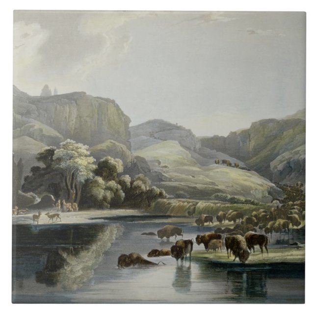 Herds of Bison and Elk on the Upper Missouri, plat Ceramic Tile (Front)