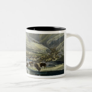 Herds of Bison and Elk on the Upper Missouri, plat Two-Tone Coffee Mug