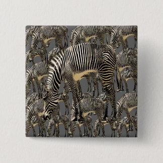 Herds of Zebras Pinback Button