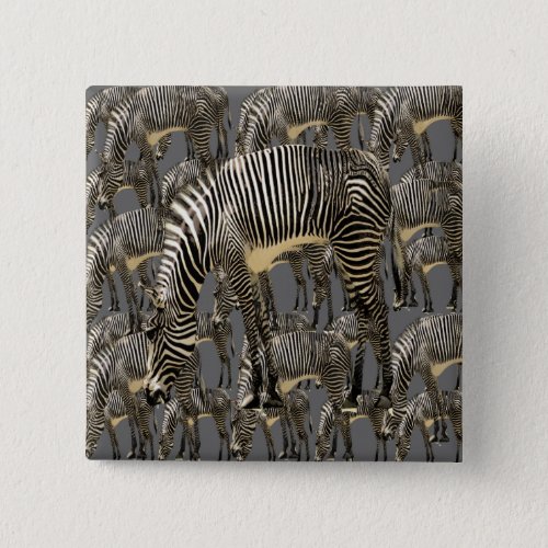 Herds of Zebras Pinback Button
