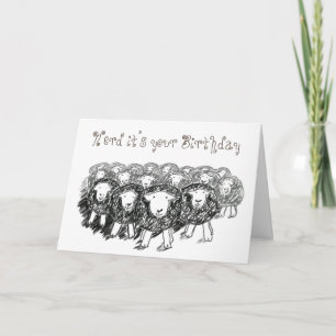 Herdwick Flock Birthday Card
