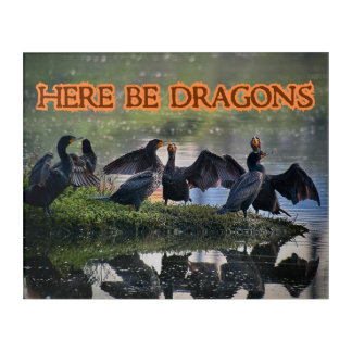 Here Be Dragons Cormorants Front Facing Acrylic Print