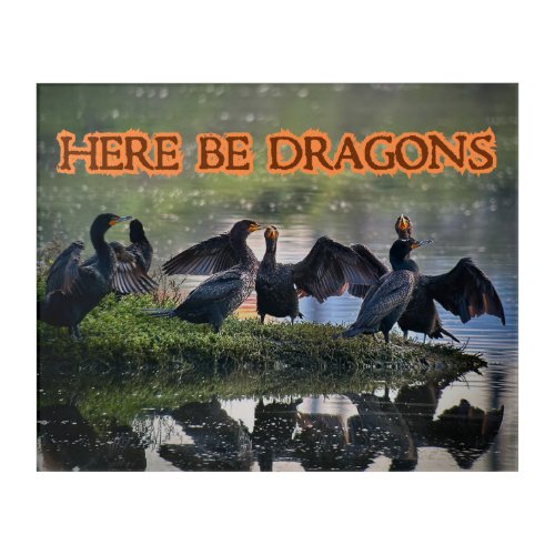 Here Be Dragons Cormorants Front Facing Acrylic Print