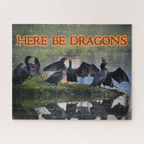 Here Be Dragons Cormorants Front Facing Jigsaw Puzzle