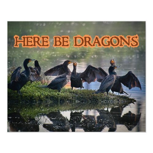 Here Be Dragons Cormorants Front Facing Photo Print