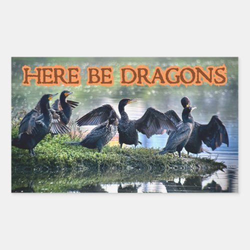 Here Be Dragons Cormorants Rectangular Sticker