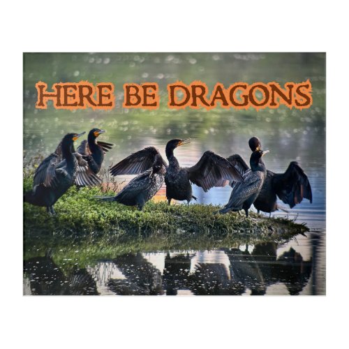 Here Be Dragons Cormorants Side Facing Acrylic Print