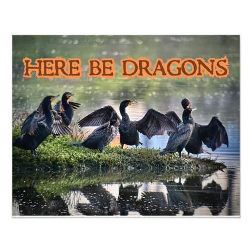 Here Be Dragons Cormorants Side Facing Photo Print