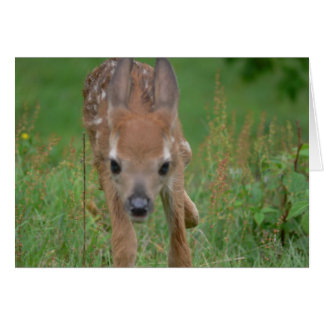 Here Comes Bambi Card