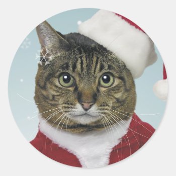 Here Comes Santa Claws Stickers by lamessegee at Zazzle