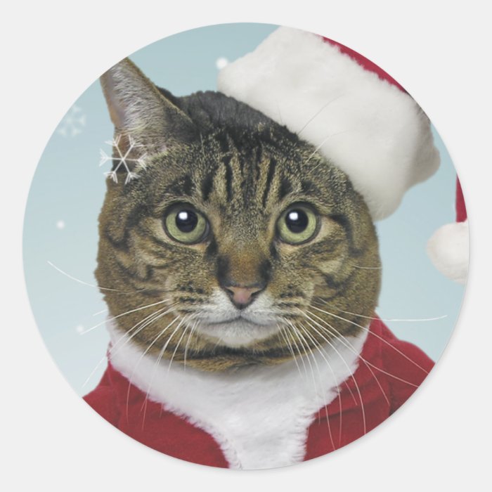 Here Comes Santa Claws Stickers