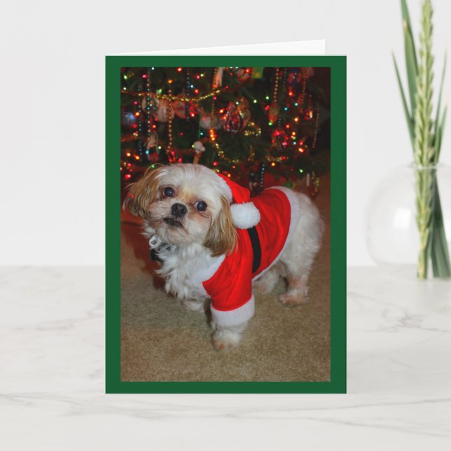 Here Comes Santa Paws! Card (Front)